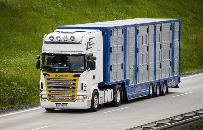 Truck